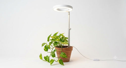 Adjustable LED plant grow light with clip stand on white background