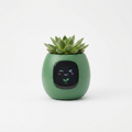 Green smart self-watering planter with digital display, studio shot on white background